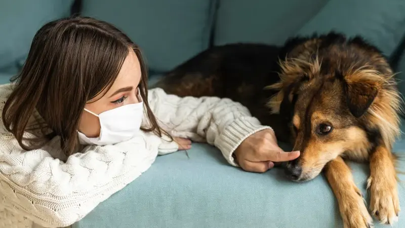 5 Common Signs Your Dog May Have Seasonal Allergies