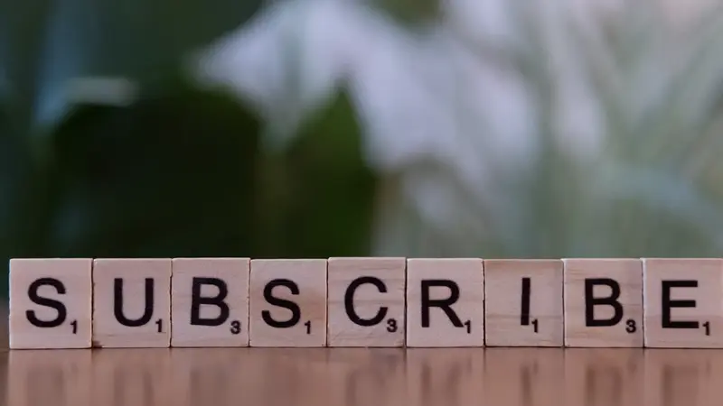 From Visibility to Engagement: How Subscriberz Helps Accounts Grow Smarter